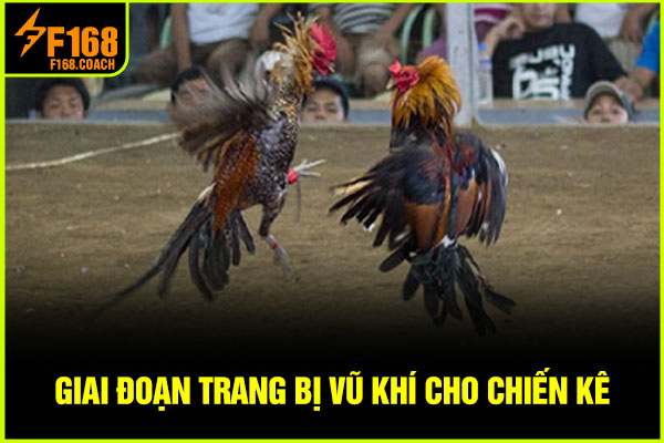 Giai đoạn trang bị vũ khí cho chiến kê Giai đoạn trang bị vũ khí cho chiến kê