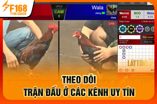 Theo dõi trận đấu ở các kênh uy tín