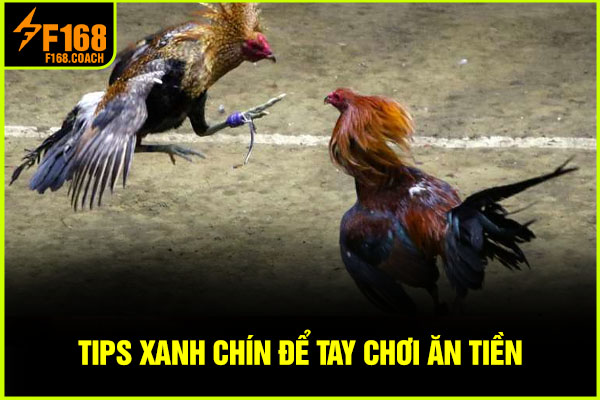 Tips xanh chín để tay chơi ăn tiền Tips xanh chín để tay chơi ăn tiền